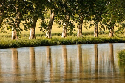 Canal du Midi