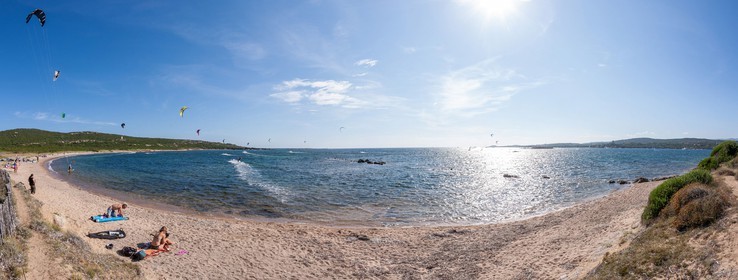 Figari