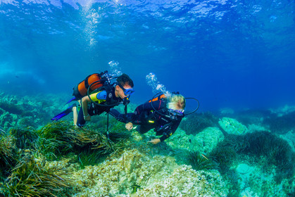 Plongée-sous-marine
