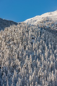 Auron