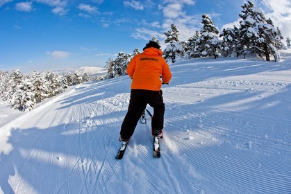 Trikke Skki