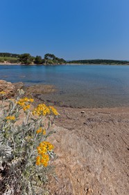 Ile du Grand Gaou