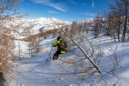 Freeride
