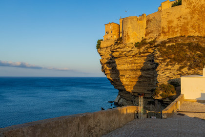 Bonifacio