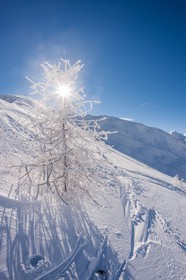 La Foux d'Allos