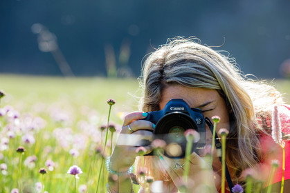 France, Alpes-de-Haute-Provence (04) Val d'Allos