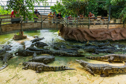 La Ferme aux crocodiles