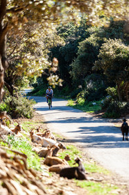 Bikingman Corsica 2019