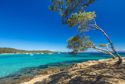 Porquerolles