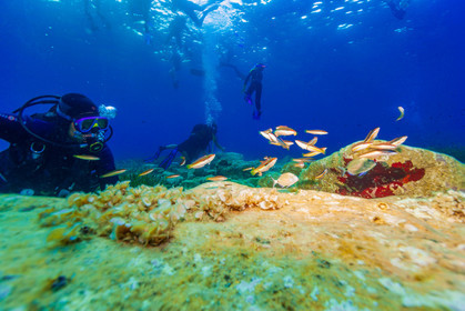 Plongée-sous-marine