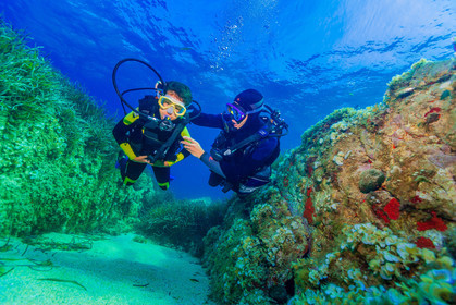 Plongée-sous-marine