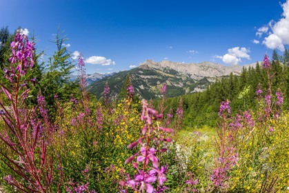 Col des Champs