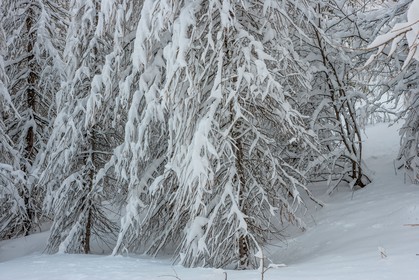 Le Seignus d'Allos
