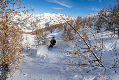 Freeride