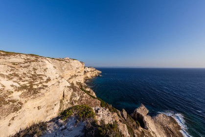 Bonifacio