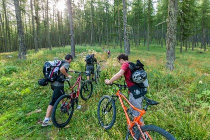 Rando Vtt Lacs de Lignin