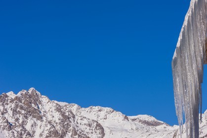 Auron