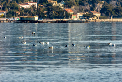 La Seyne-sur-Mer