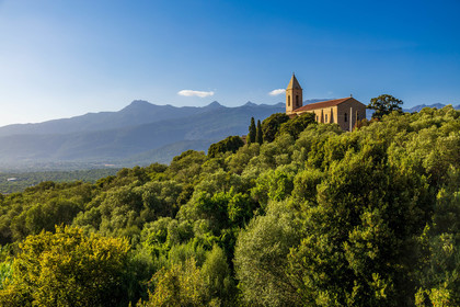 Figari
