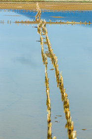 Salins d'Hyères