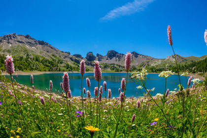 Lac d'Allos