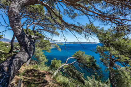 Plage de Fabrégas