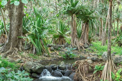 Ile de La Réunion