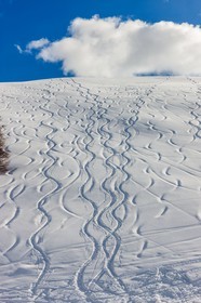 Auron