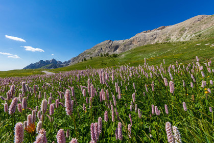 Col des Champs