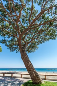 San Bartolomeo al Mare