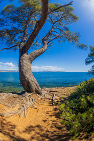 Lérins Sainte-Marguerite 2024