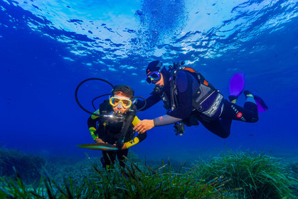 Plongée-sous-marine