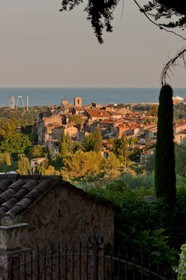 Biot