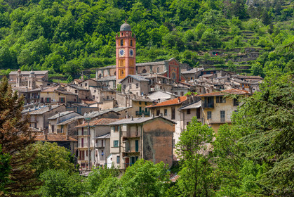 Tende