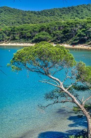 Porquerolles