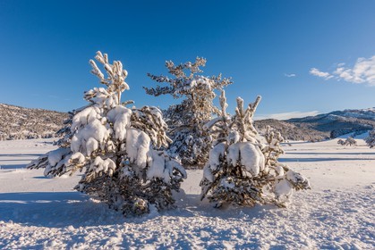 Gréolières-les-Neiges