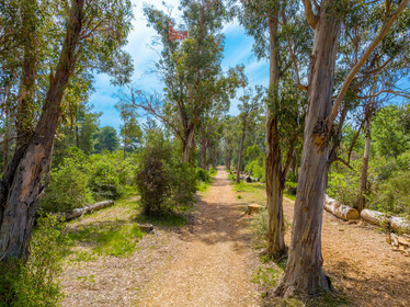 Lérins Sainte-Marguerite