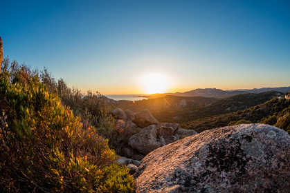 Roccapina