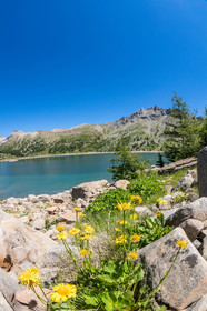 Lac d'Allos