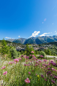 Auron