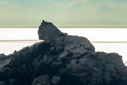 Roccapina