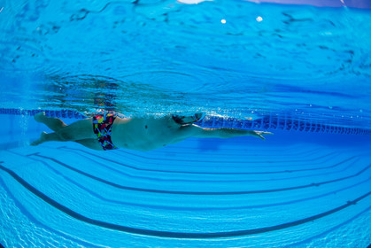 Natation