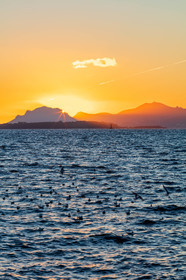 Cap d'Antibes