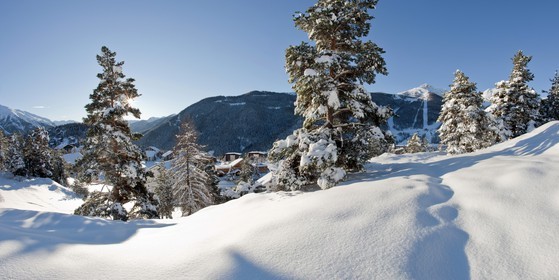Auron