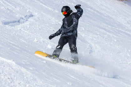 Snowboard