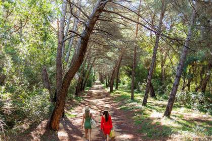 Lérins Sainte-Marguerite