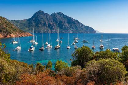 Girolata