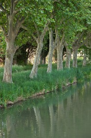 Canal du Midi