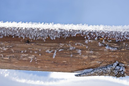 Cristaux de neige