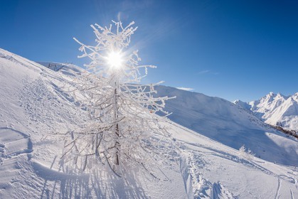 La Foux d'Allos